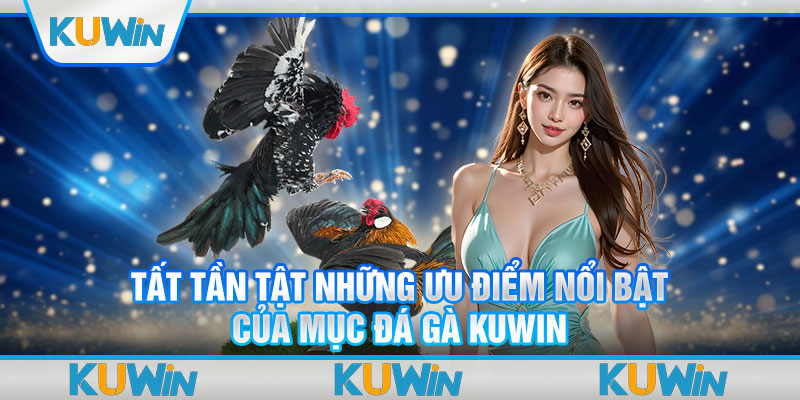 Các loại hình đá gà KUWIN được hội viên yêu thích