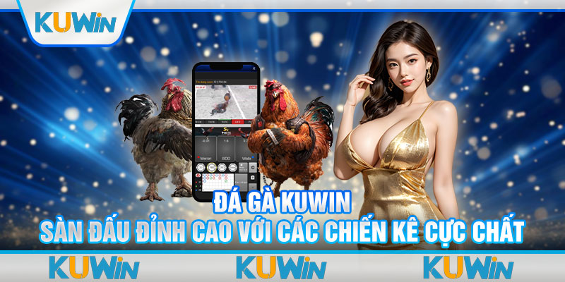 Đá Gà KUWIN - Sàn Đấu Đỉnh Cao Với Các Chiến Kê Cực Chất