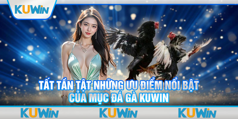 Tất tần tật những ưu điểm nổi bật của mục đá gà KUWIN