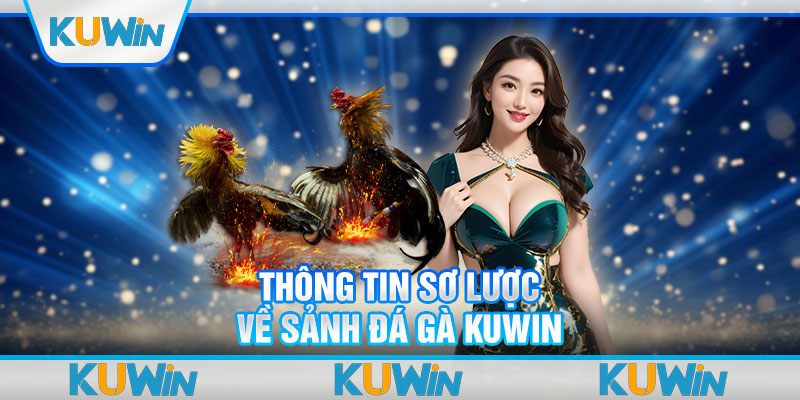 Thông tin sơ lược về sảnh đá gà KUWIN