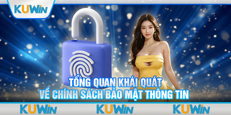 Tổng quan khái quát về chính sách bảo mật thông tin